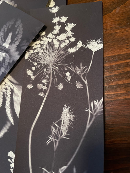 Mud Witch Stationary •Assorted Botany•