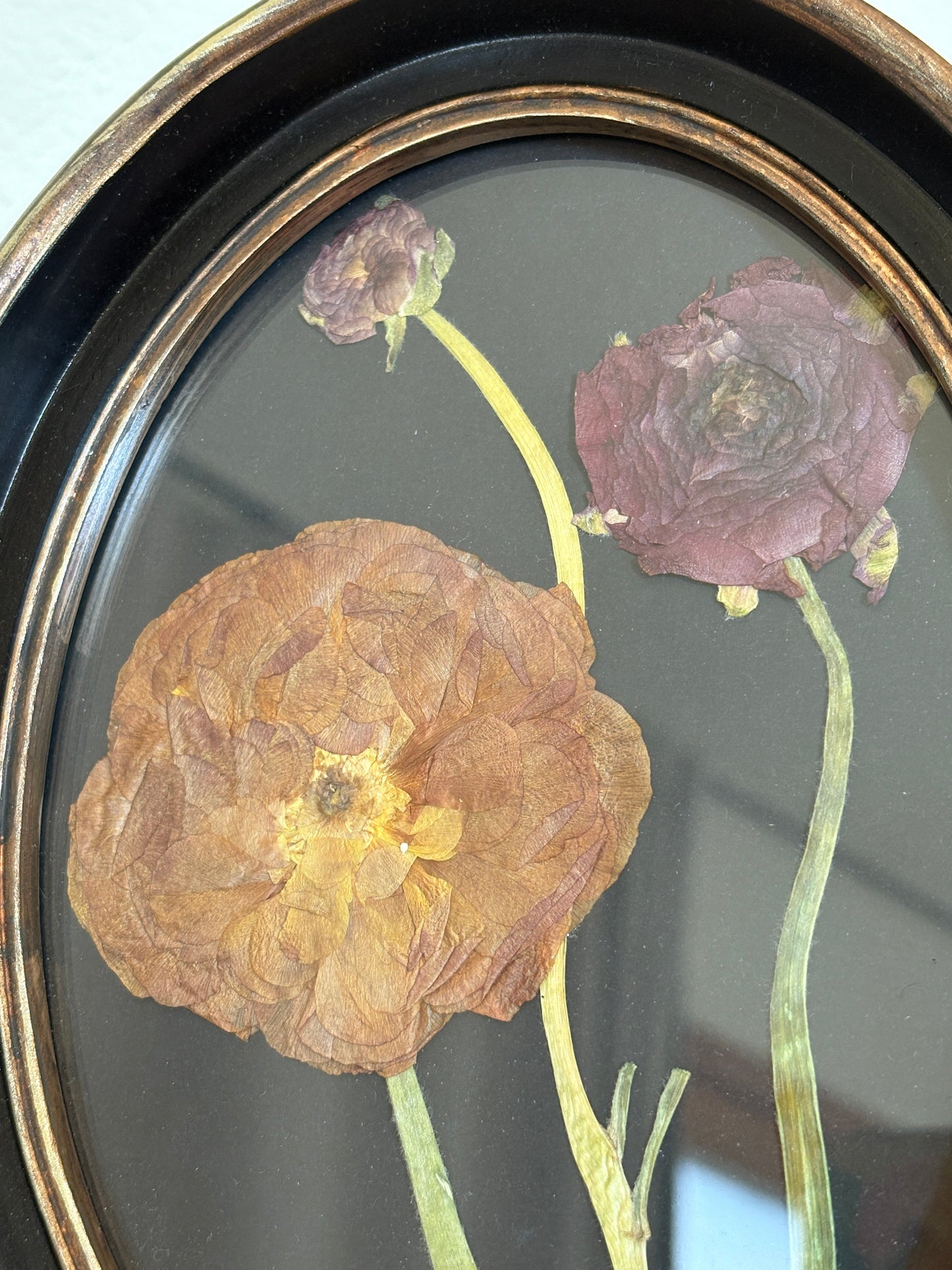 Framed Florals •Ranunculus•