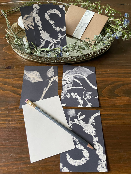 Mud Witch Stationary •Assorted Botany•