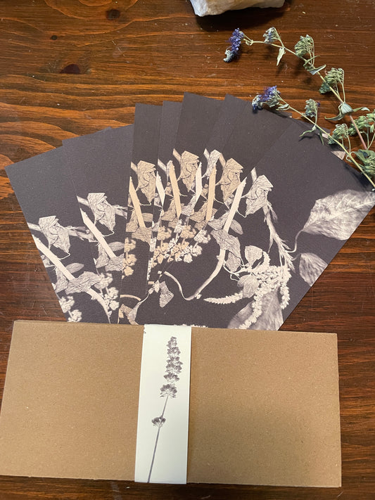 Mud Witch Stationary •Amaranthus•