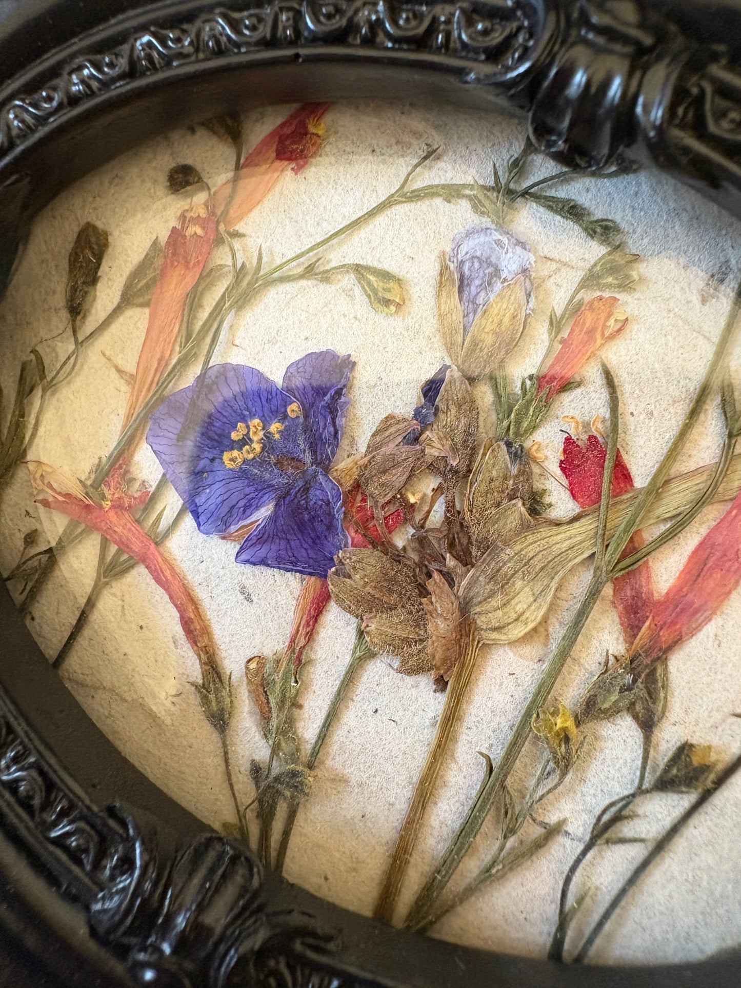 Framed Florals •Wildflowers•