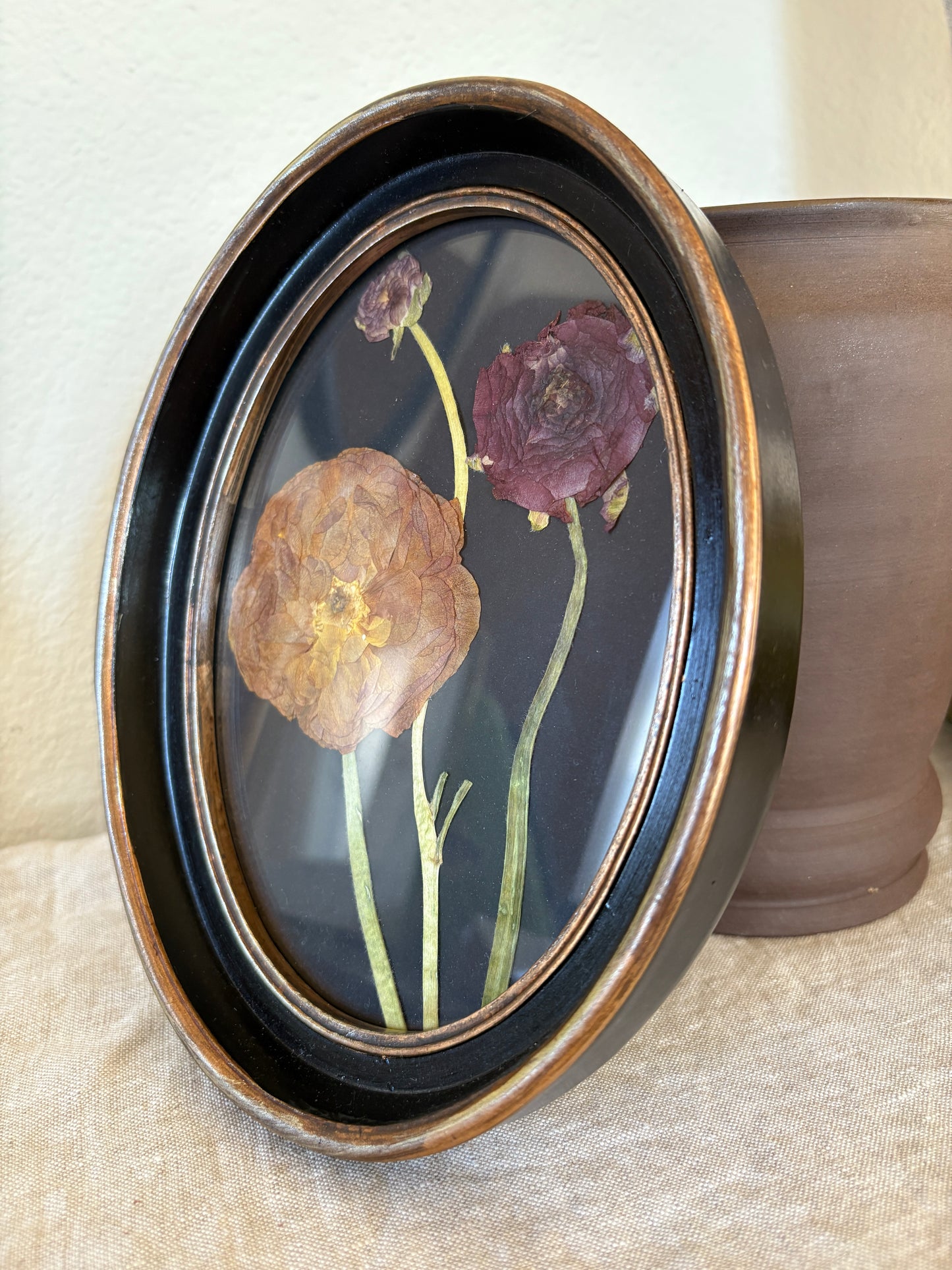 Framed Florals •Ranunculus•