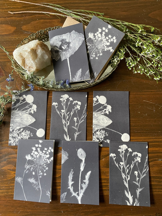 Mud Witch Stationary •Assorted Floral•