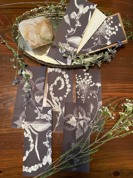 Mud Witch Stationary •Assorted Botany•