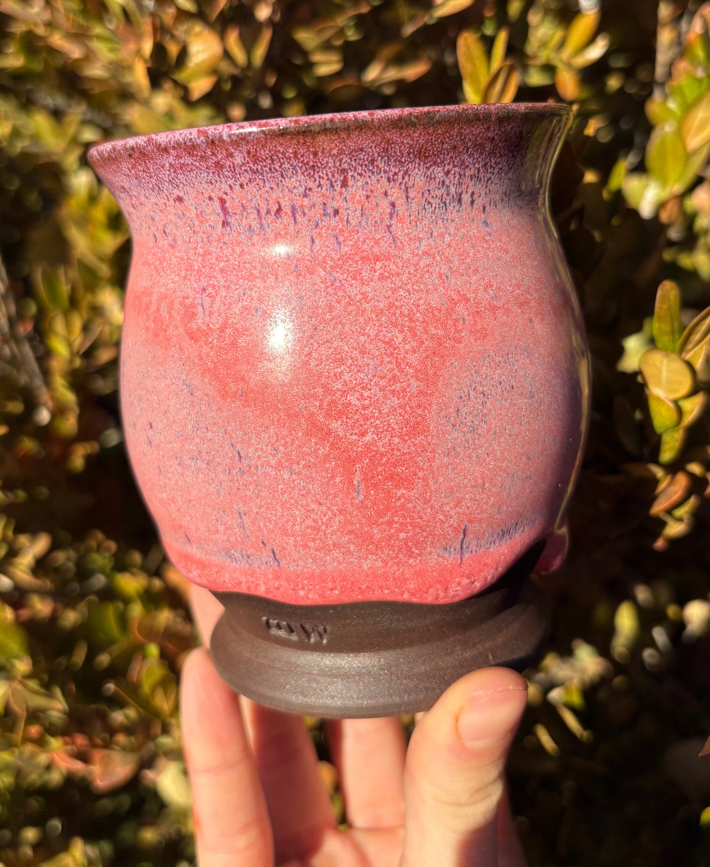 Mud Witch Cup
