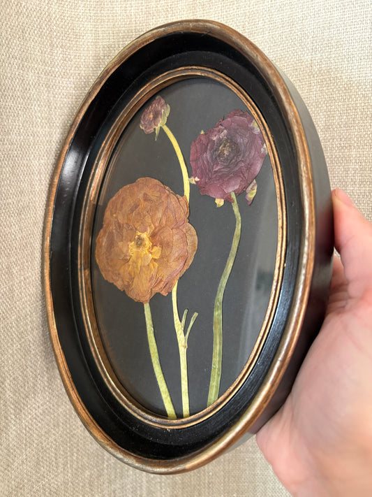 Framed Florals •Ranunculus•