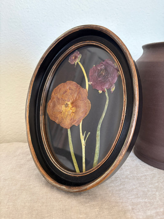 Framed Florals •Ranunculus•