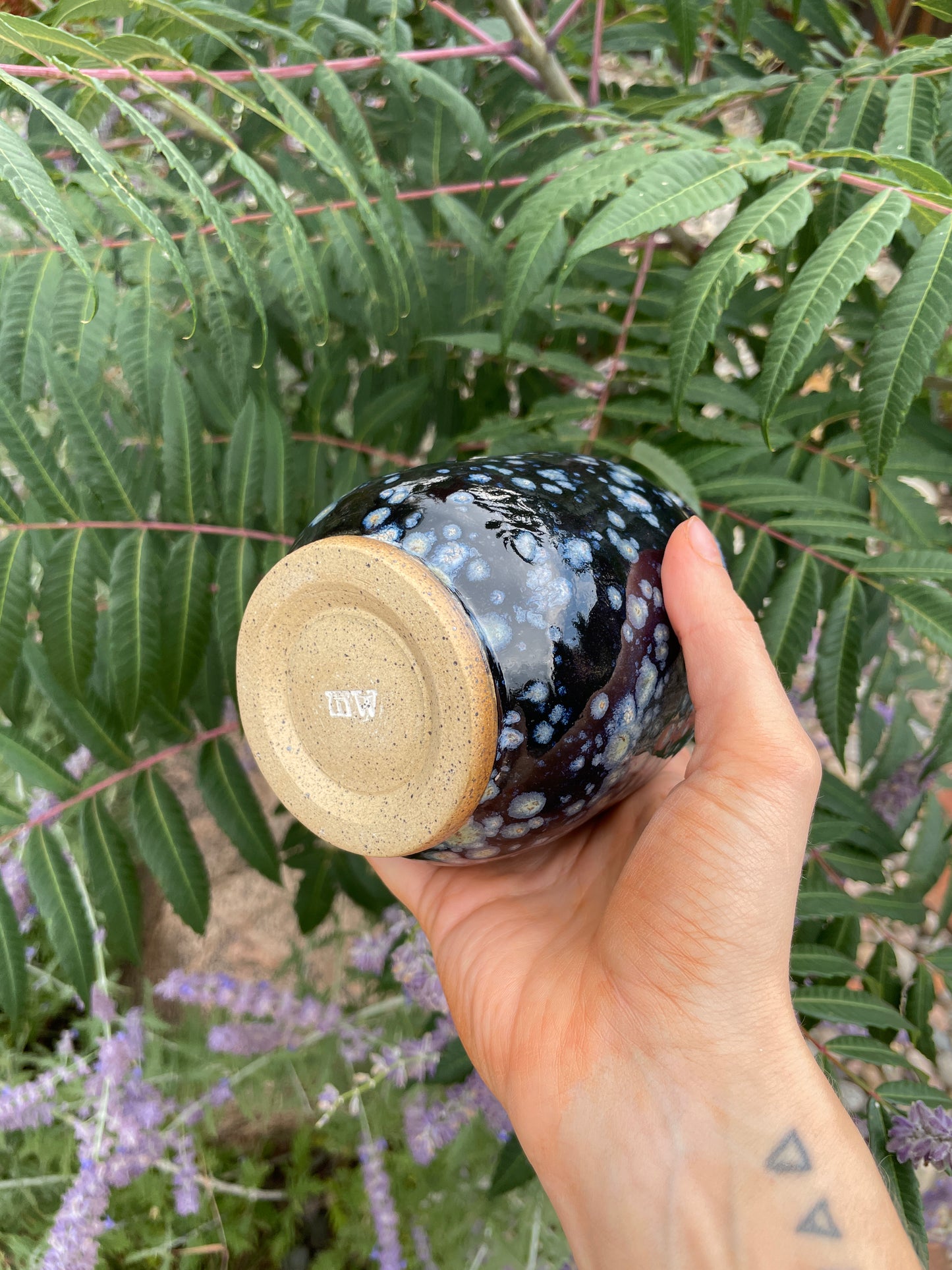 Mud Witch Cup
