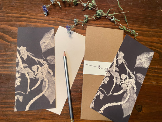 Mud Witch Stationary •Amaranthus•