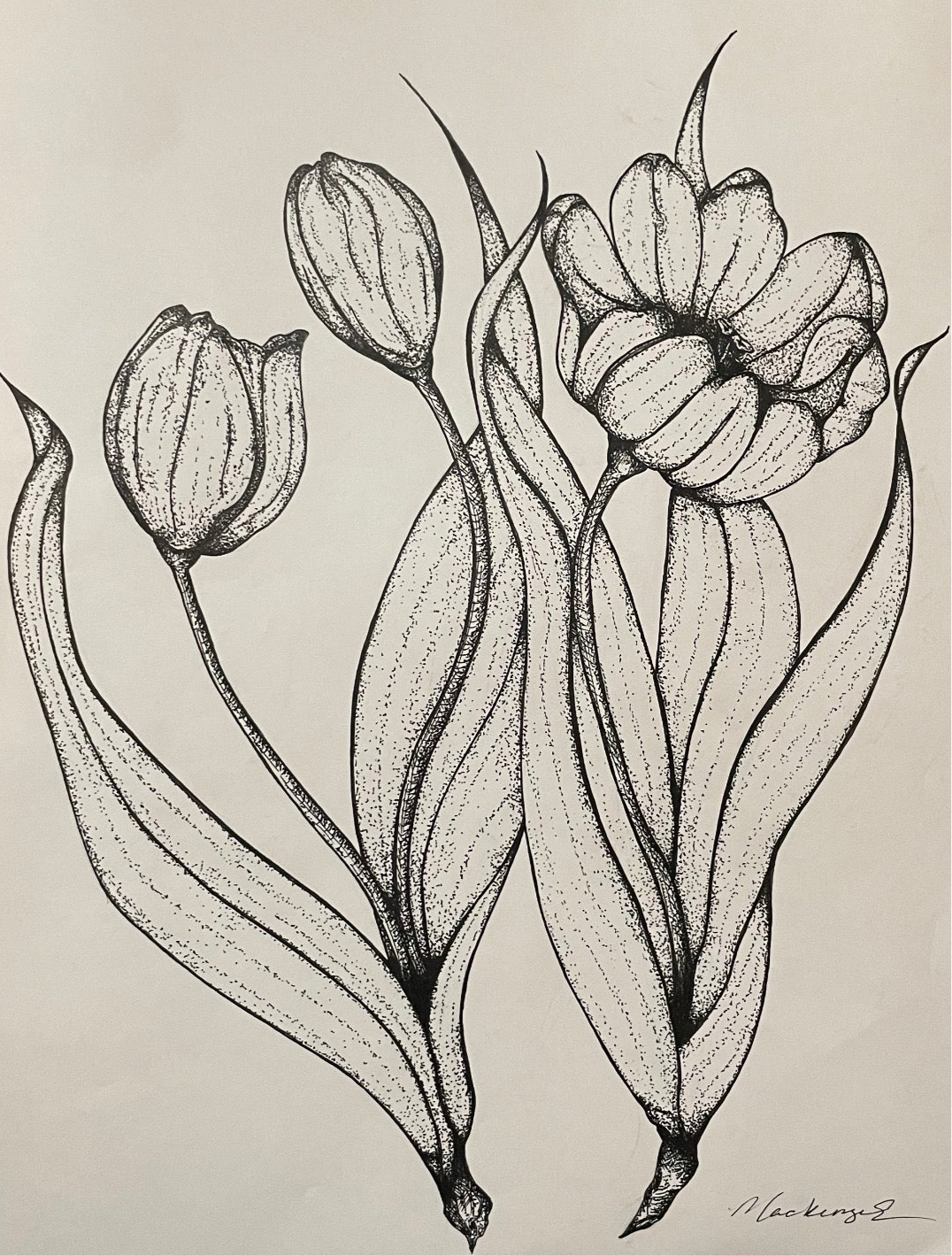 Custom Botanical Drawing Request!