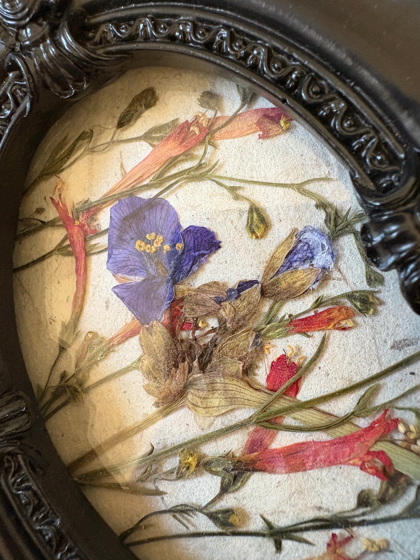 Framed Florals •Wildflowers•