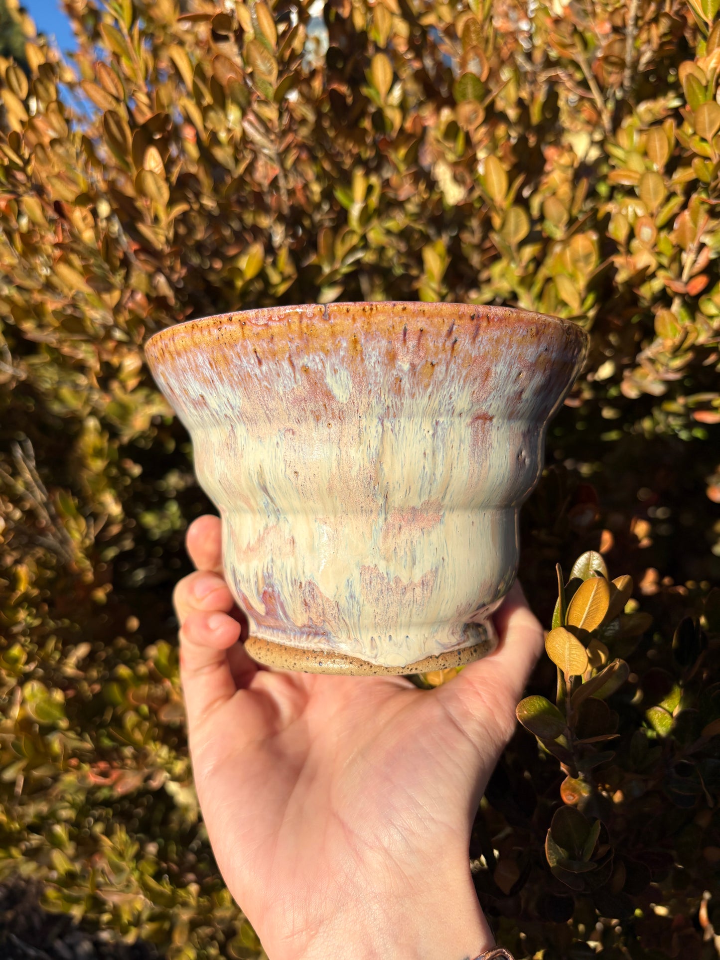 Bowls •Twin Set•